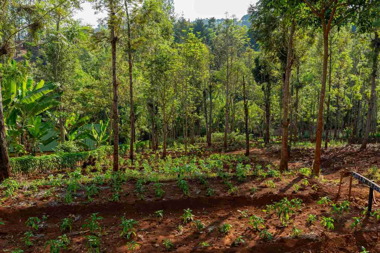 Guided Farm Tour